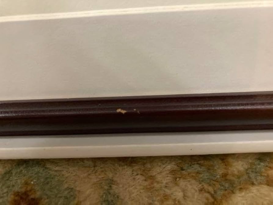 Amazon.co.jp: 直筆サイン入り コナン 複製原画 プリマグラフィ : 甲斐